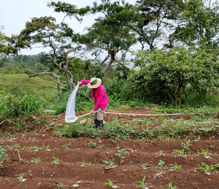 Diversidad Biológica, Conservación y Desarrollo Comunitario